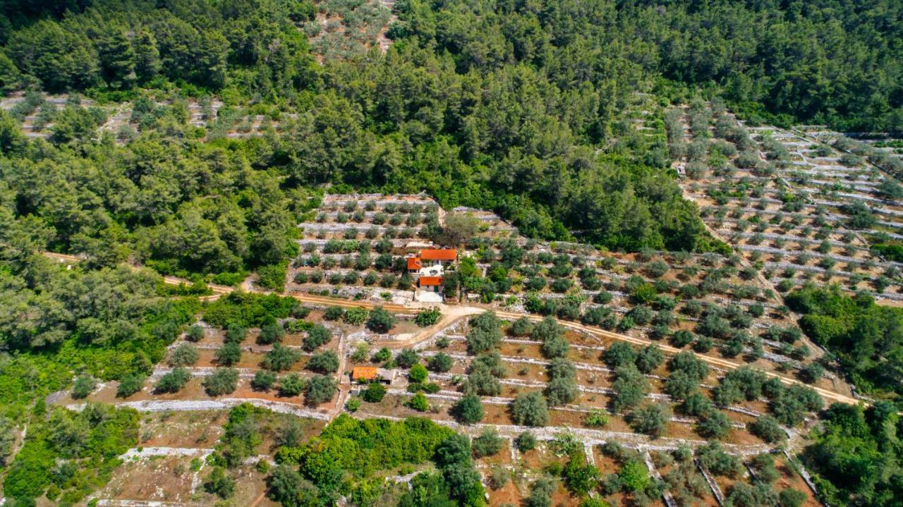Holiday Home Liberan Vela Luka Ngoại thất bức ảnh